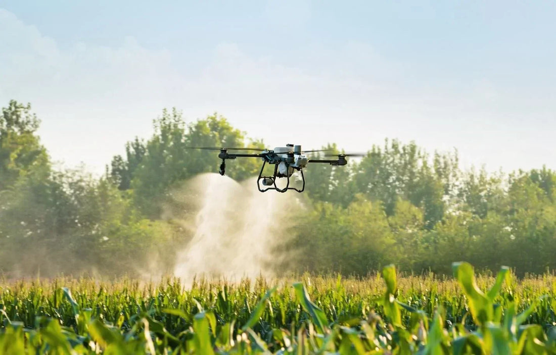 Corn Farming withAgriculture DroneSolutions