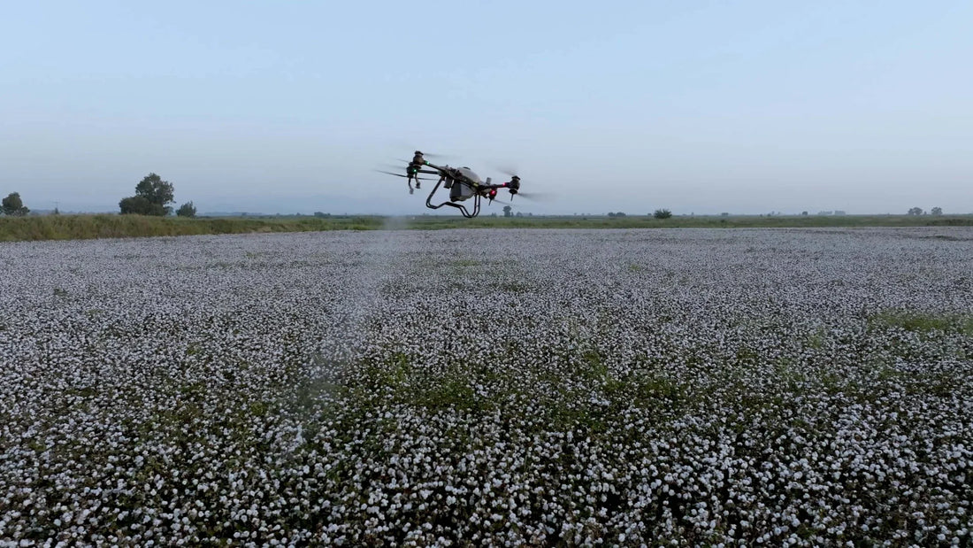 Cotton Farming with Agriculture Drone Solutions