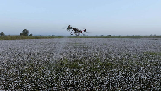 Cotton Farming with Agriculture Drone Solutions