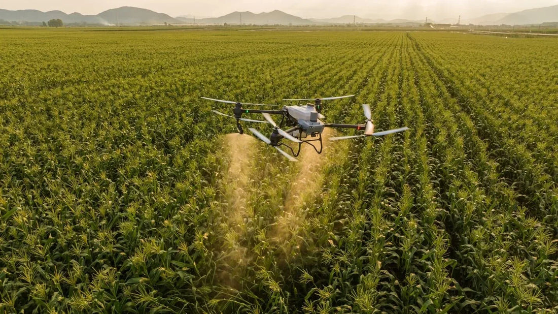 Corn Fungicide Spraying with Agriculture Drones in the US