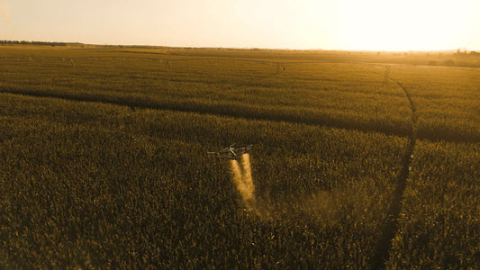 How Drones are Revolutionizing Corn Farming in Brazil