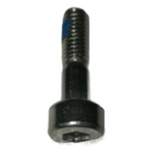 T50 Screw (M50-HF01900080-095050-5103-Y)(M5 motor base screw) YC.ST.LL000326