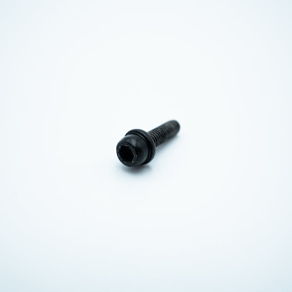 Screw - M60-HC02000180-100080-4203-Y (T100) YC.ST.LL000696