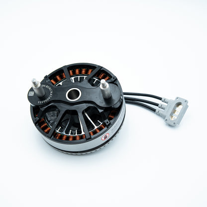 15516 Motor (T100) BC.AG.SS001102