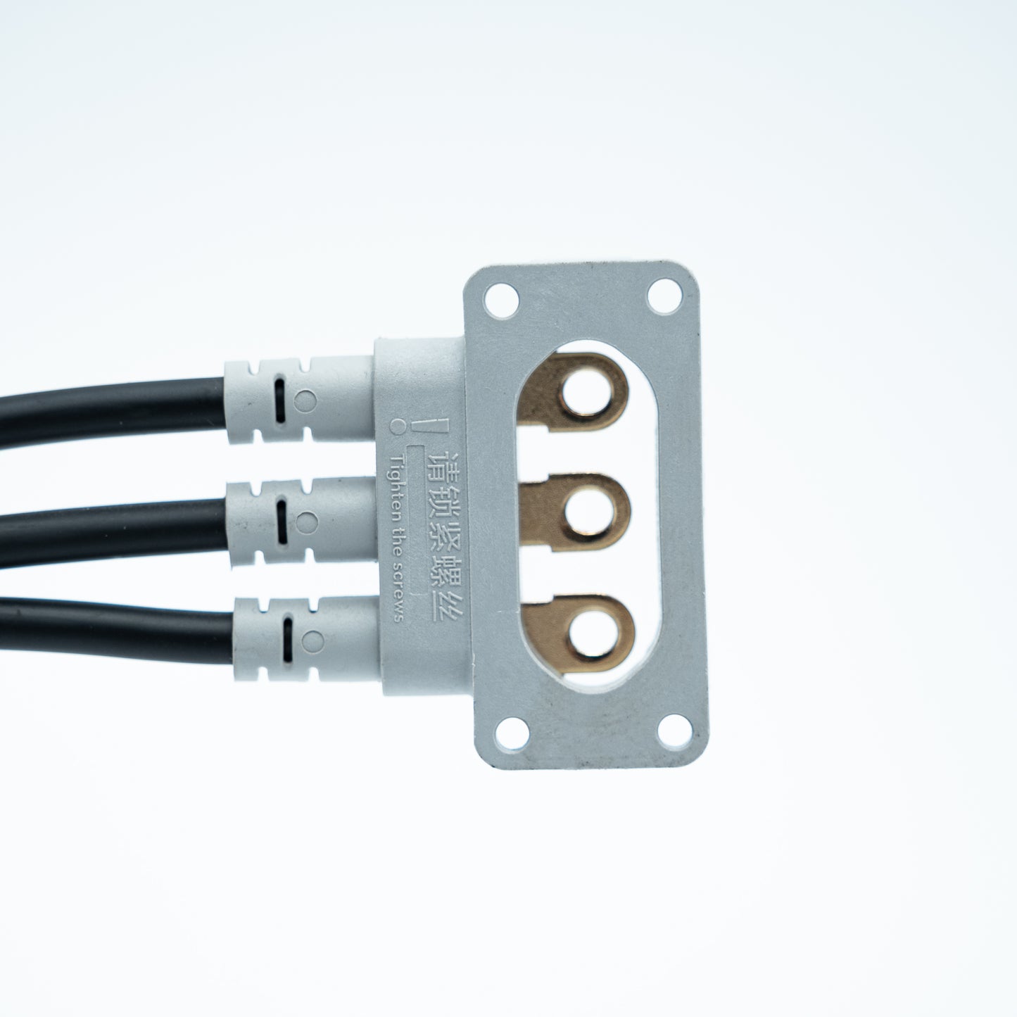15516 Motor (T100) BC.AG.SS001102
