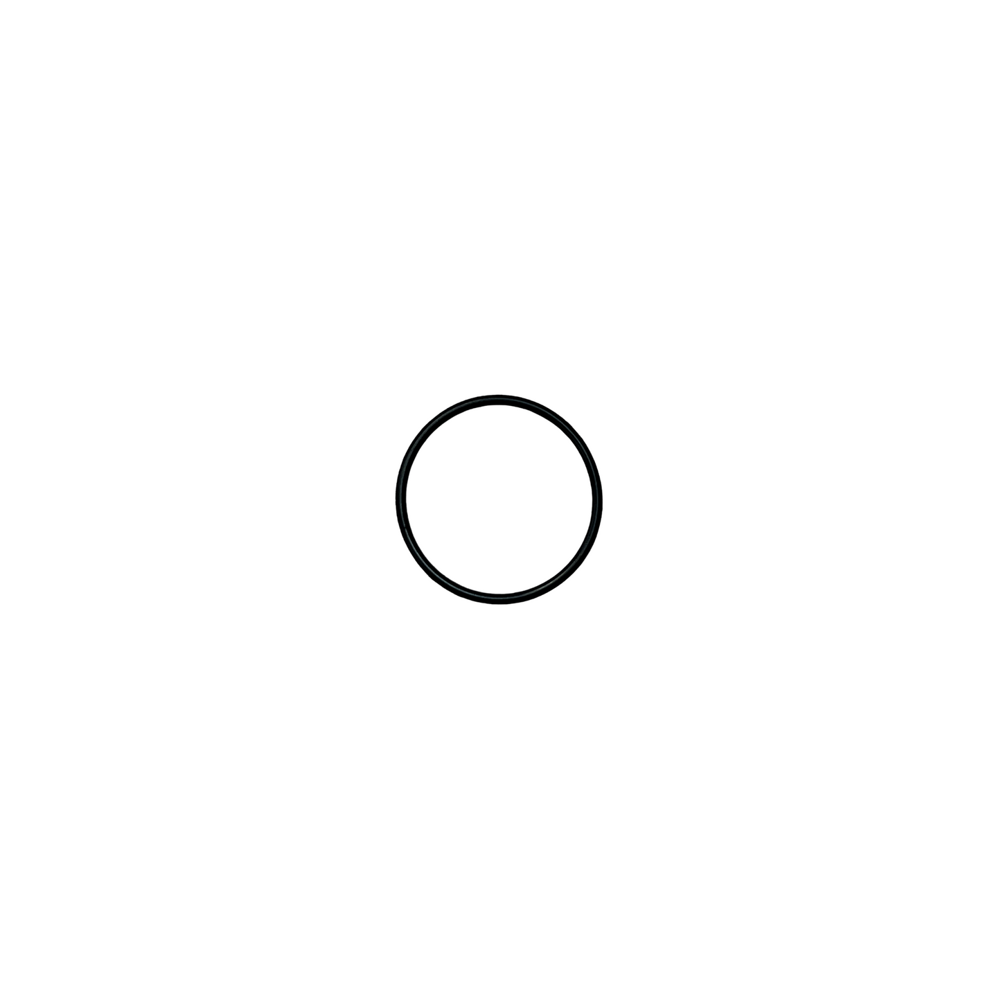 Sealing Ring - 31.4 mm (T100/T70P/T60X/T25P/OD=31.4 mm) YC.JG.MY001315