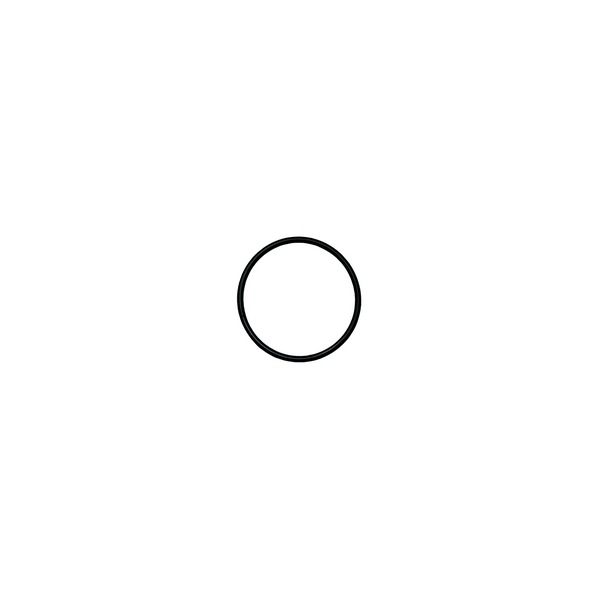 Sealing Ring - 31.4 mm (T100/T70P/T60X/T25P/OD=31.4 mm) YC.JG.MY001315